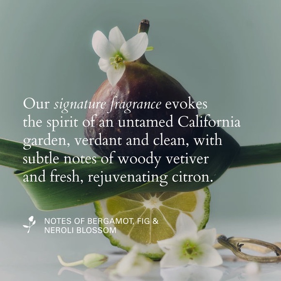 BNIB Roz Evergreen Style Cream 60mL - Picture 4 of 9